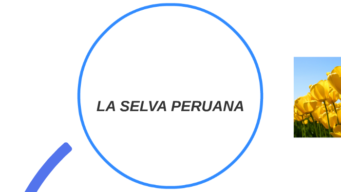 LA SELVA PERUANA by israel cueva olivo on Prezi