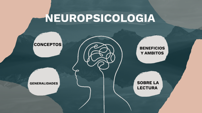 NEUROPSICOLOGIA by Allison Miranda on Prezi