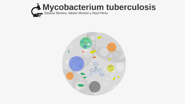 Mycobacterium tuberculosis by Raulazo Perez