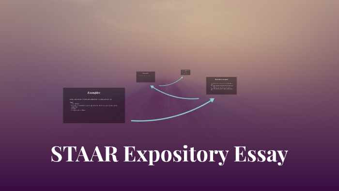 What is an expository text image