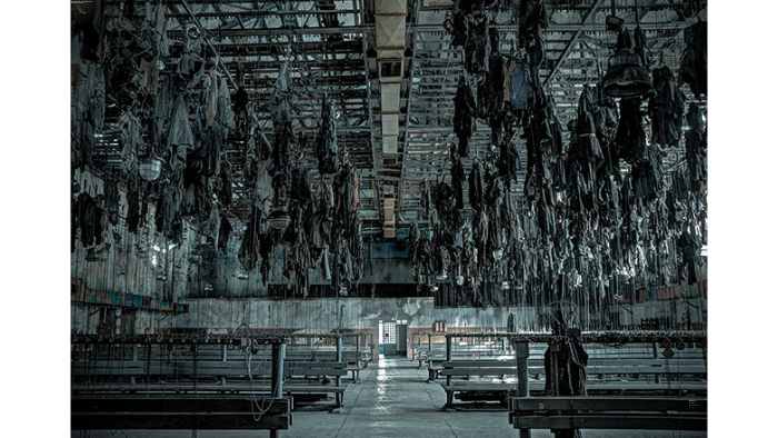 How inhumane can humans be when it comes to survival? by Anna Lor on Prezi