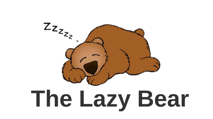 lazy bear laptop bolsa