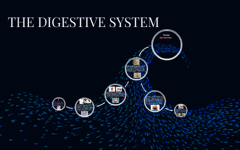 THE DIGESTIVE SYSTEM by sahar ansary on Prezi