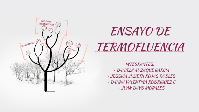 ENSAYO DE TERMOFLUENCIA by Danna Valentina Rodriguez Centeno
