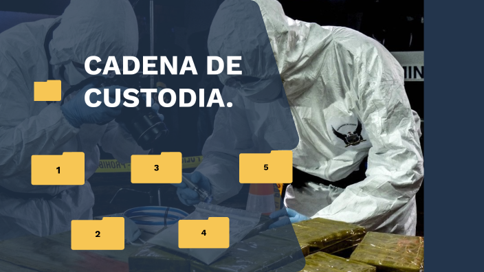 CADENA DE CUSTODIA By Dany Liss On Prezi