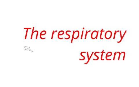 respirtory system by Gay Insurance on Prezi