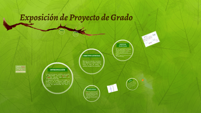 Exposición de Proyecto de Grado by Giralda Diaz on Prezi