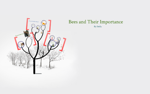 Bees and Their Importance by S robbie its me on Prezi
