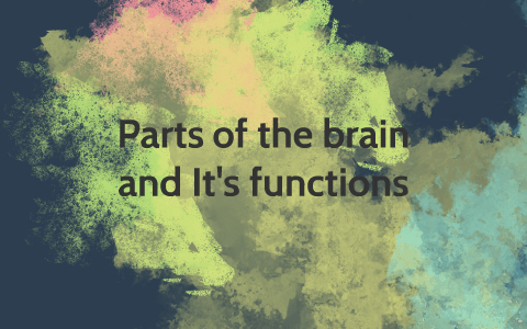 Parts of the brain and It's functions by Paige Strohm on Prezi