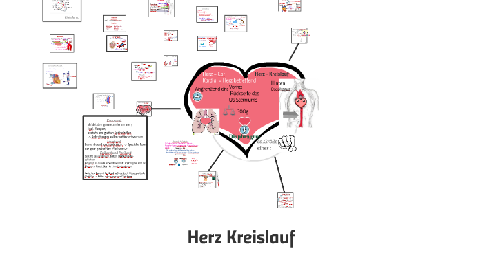 Herz Kreislauf by Marcus Werner on Prezi
