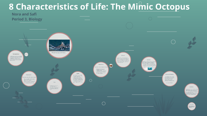 8 Characteristics of Life in Biology