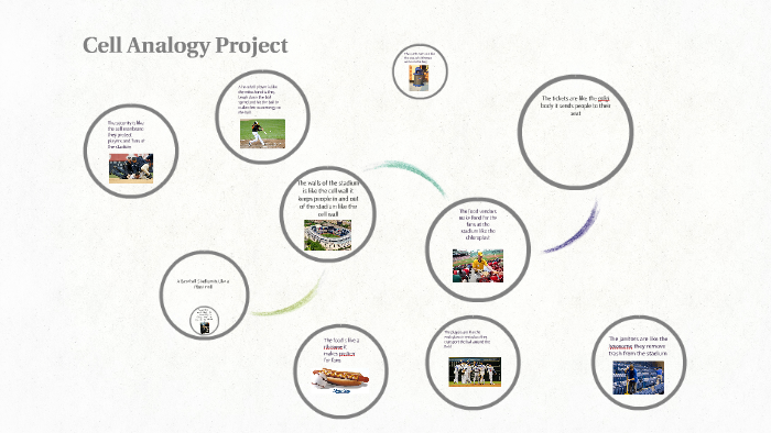 Cell Analogy Project By Gerardo Gutierrez 1054