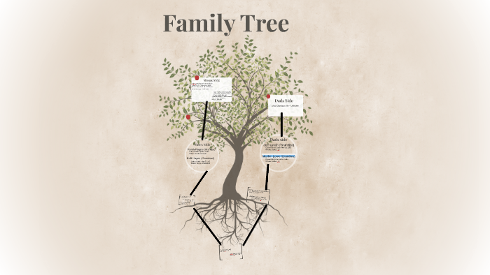 Family Tree by alyssa lynch on Prezi
