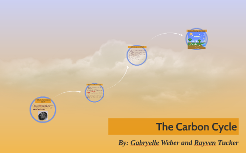 The Carbon Cycle by gabby weber on Prezi