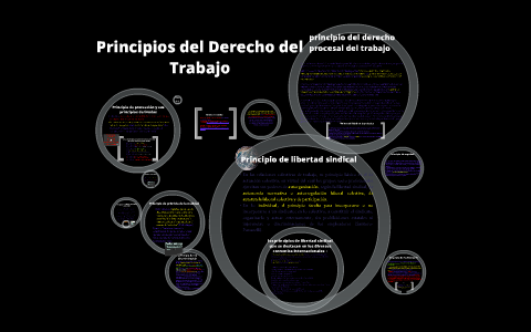 Principios Generales Del Derecho Del Trabajo By Carlos Armendariz On ...