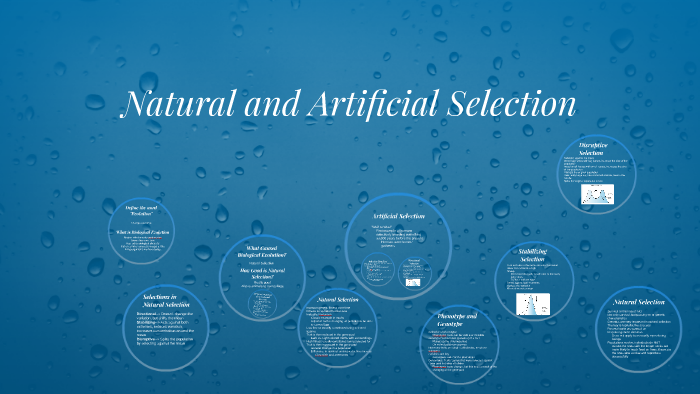 Natural and Artificial Selection by Brittany Tarnowski on Prezi