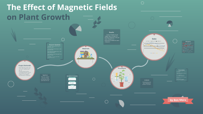 the-effect-of-magnetic-fields-on-plant-growth-in-salt-water-by-ben-mora