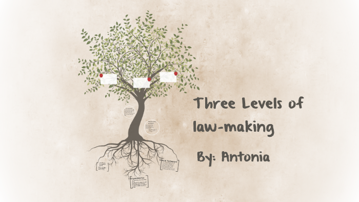 the-three-levels-of-law-making-by-holy-trinity