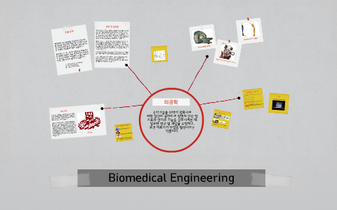 biomedical engineering bachelor thesis