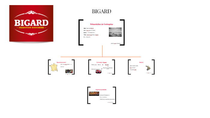 Bigard By Camille Rohan On Prezi Next