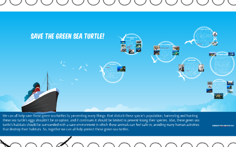 Save the green SEA Turtle! by Someone hi on Prezi