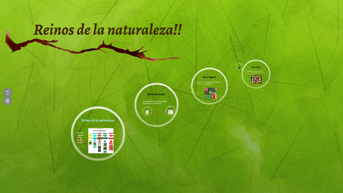 Reinos de la naturaleza by Anays Lopez on Prezi
