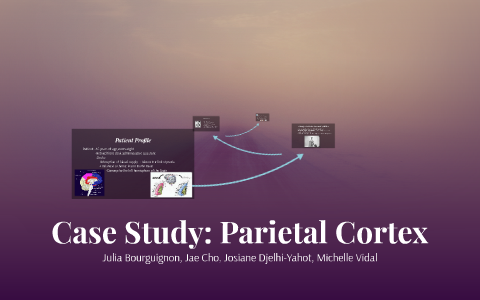 Case Study: Parietal Cortex by Parietal Cortex on Prezi