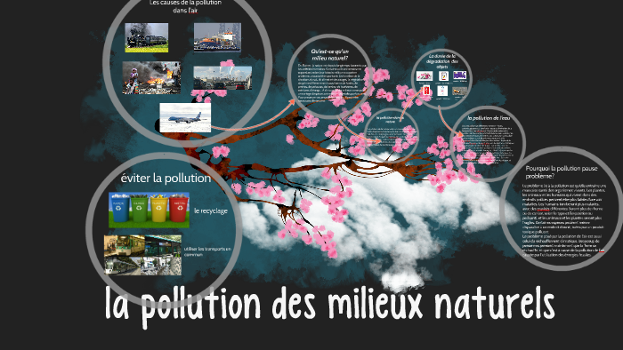 la pollution des milieux naturels by dina..... czempkowski on Prezi
