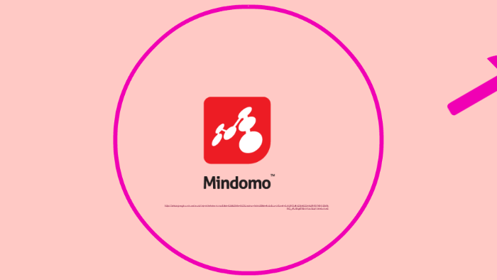 Mindomo by diana velez on Prezi