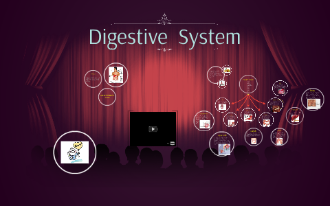 Digestive System by Kevin Alvarado on Prezi