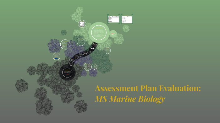 Assessment Plan Evaluation by Danielle Lynch on Prezi