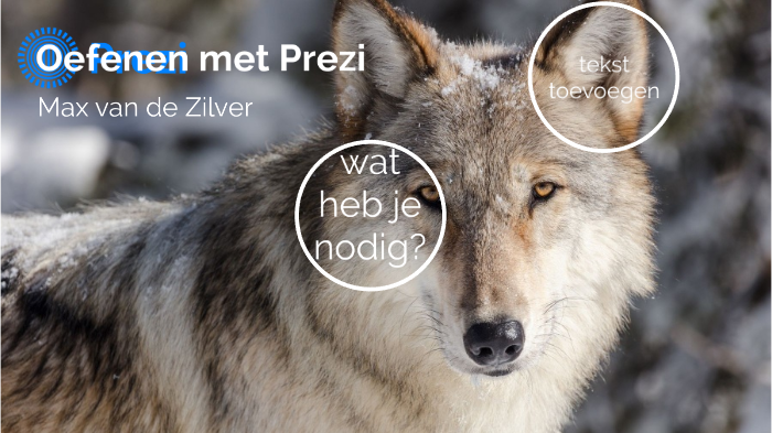 leren presenteren met Prezi voor digitale vaardigheden by Max van de ...