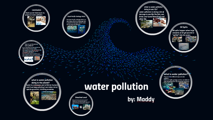 Water Polution And Why We Need To Stop By Maddy Mazur