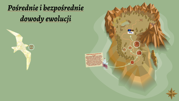 Podkreśl Przykłady Bezpośrednich Dowodów Ewolucji prezi.com