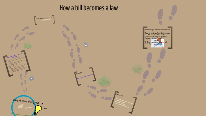 how-a-bill-becomes-a-law-by-megan-putnam-on-prezi-next