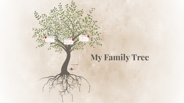 My Family Tree by Adriana Snedaker on Prezi