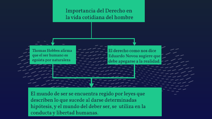 Importancia del Derecho en la vida cotidiana del hombre by Johan Ismael