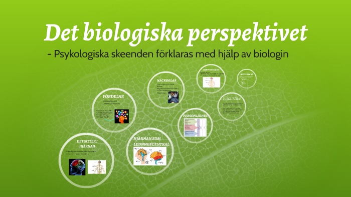 Det Biologiska Perspektivet By Sofia Andersson On Prezi Next