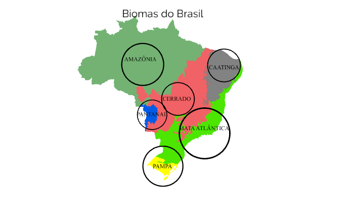 Biomas do Brasil por Ana Flávia-n°2-2°B by Ana Flavia Arouca on Prezi