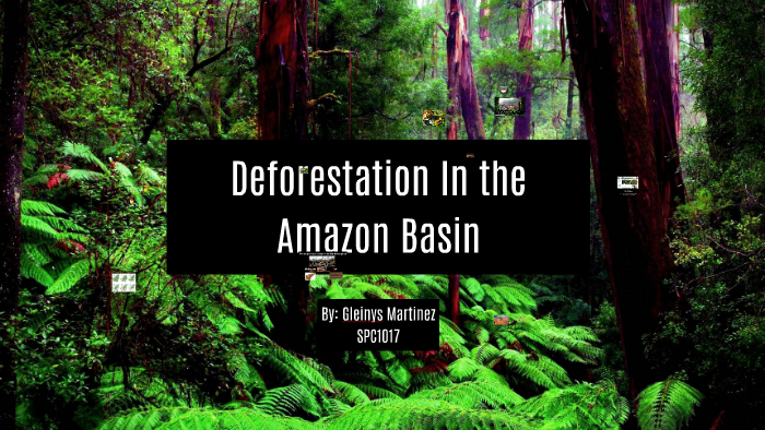 Deforestation In the Amazon Basin by Gleinys Martinez on Prezi