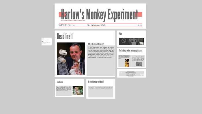 what did harlow do with the monkeys after the experiment