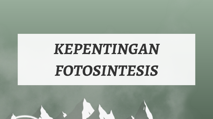 Kepentingan Fotosintesis Sumber Pengajaran