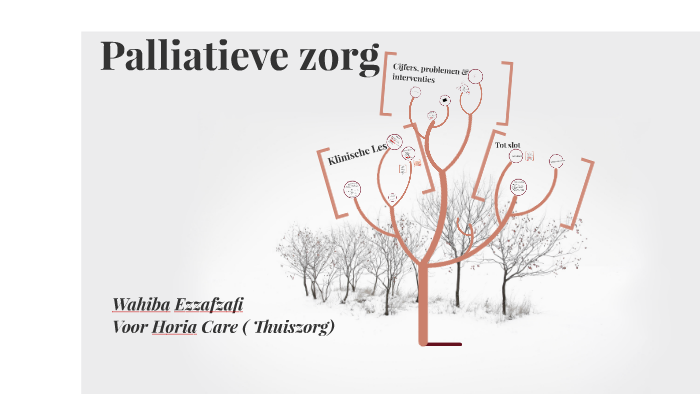 Klinische les over Palliatieve zorg in de wijk by Wahiba ezzafzafi on Prezi