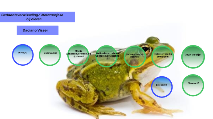 Metamorfose/gedaanteverwisseling bij dieren!!! by Gerard Bowling on Prezi