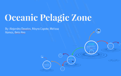 Oceanic Pelagic Zone by Mayra Capote