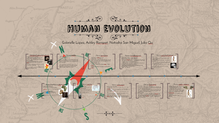 Human Evolution by Julia Qu on Prezi