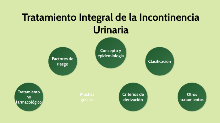 Tratamiento Integral de la Incontinencia Urinaria by Pablo Miguel