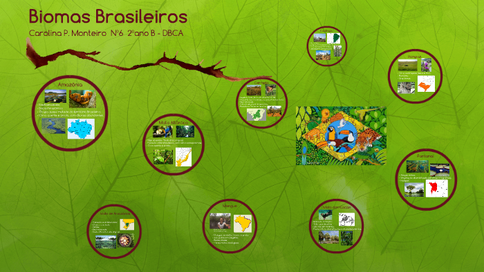 Biomas Brasileiros by Carolina Monteiro on Prezi