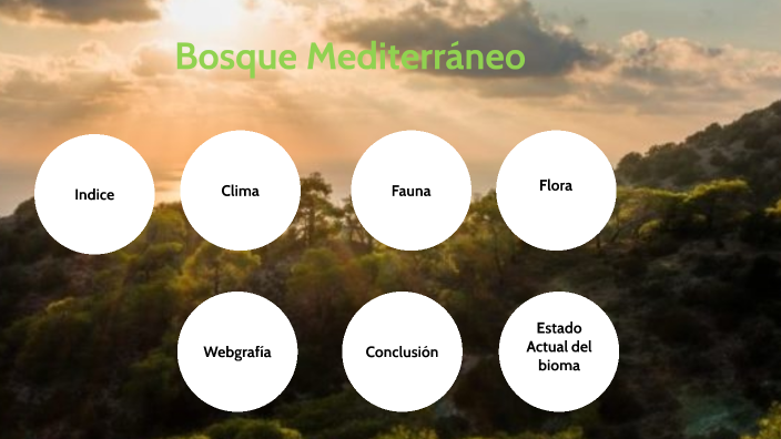 Bosque Mediterráneo by tronix tronix on Prezi Next Bosque Mediterráneo by tronix tronix on Prezi Next