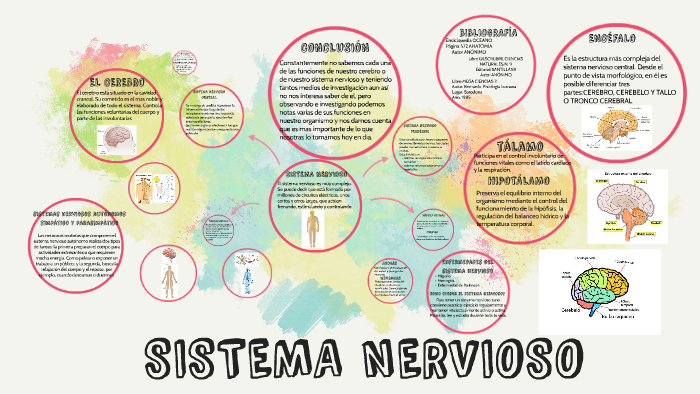 SISTEMA NERVIOSO by Valeska Teo on Prezi